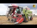 Claas Dominator 88 SL Maxi mit Geringhoff Klappschneidwerk 5,4m - Mähdrescher mäht Roggen