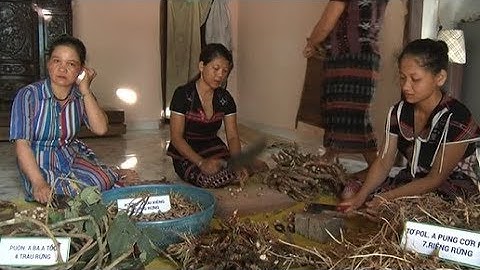 Người gìn giữ hương vị rượu Piêng của đồng bào Cơ Tu