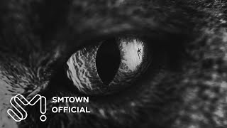 Red Velvet - IRENE & SEULGI | Two Shadows (Teaser)