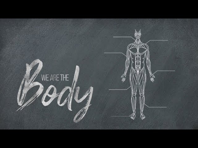 03.29.20 We Are the Body
