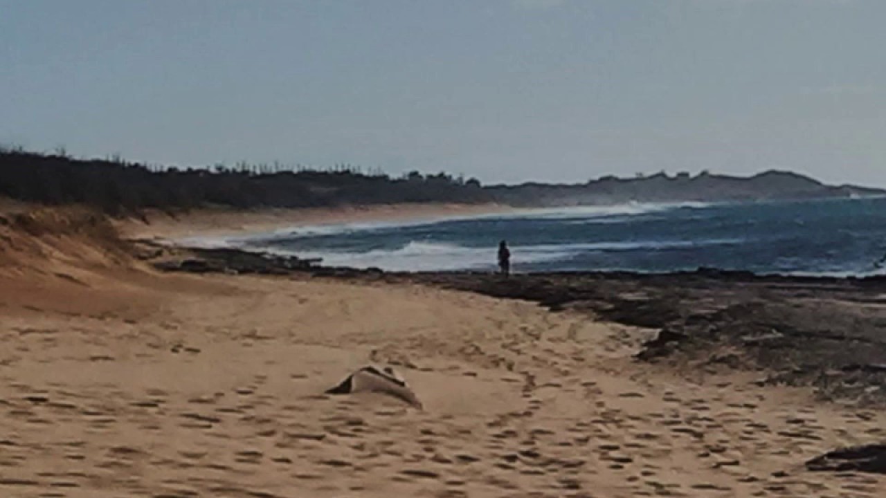 Matthew Walker White Sandy Beach Of Hawaii (IZ/Israel Kamakawiwo'ole A Capella Cover). YouTube Matthew Walker White Sandy Beach Of Hawaii (IZ/Israel Kamakawiwo'ole A Capella Cover). YouTube