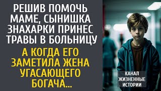 видео: Решив помочь маме, сын знахарки принес травы в больницу… А когда его заметила жена угасающего богача картинка: Решив помочь маме, сын знахарки принес травы в больницу… А когда его заметила жена угасающего богача