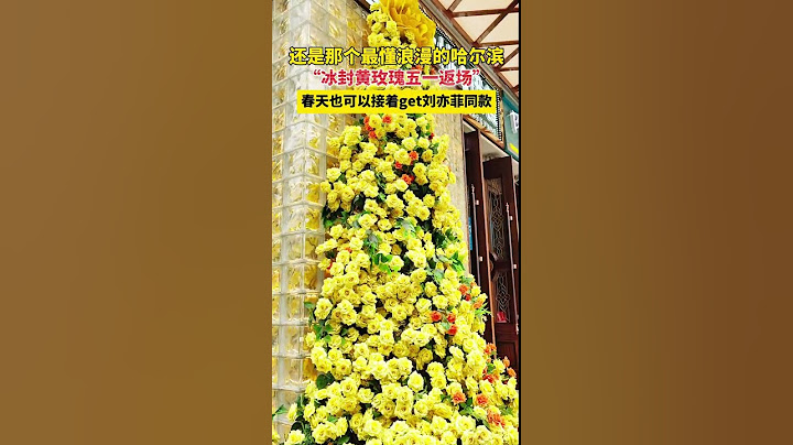 还是那个最懂浪漫的哈尔滨，“冰封玫瑰五一返场”#春意融融遇见龙江