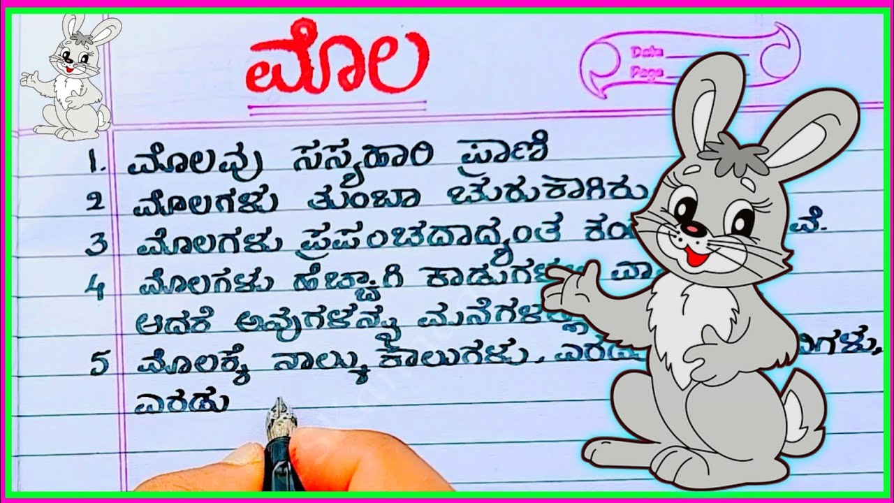 essay on rabbit in kannada language