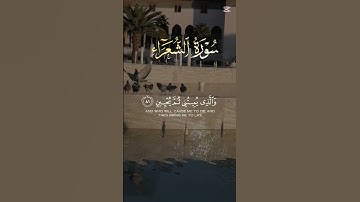 عبد الباسط عبدالصمد الحنجرة الذهبية تلاوة خاشعة من القرآن الكريم 👍 سورة الشعراء. 🌹