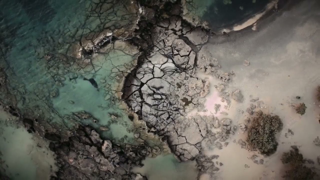 Massive Ephemeral Earth Mural by artist David Popa