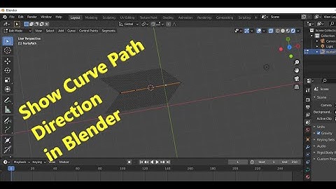 How to Show Curve Path direction in blender 2.9 | Show Curve path direction