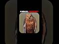 Animal Mindset💀 | Get Your Animal Mindset Back 💯 #shorts #shortsfeed #mindset #animals