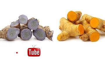 Nghệ đen hay nghệ vàng tốt hơn? | CDT NEWS