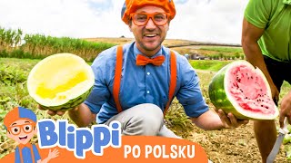 Blippi jedzie na farmę |  Blippi po polsku 🔶 Nauka i zabawa dla dzieci