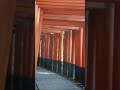 Walking in Fushimi-Inari Taisha Shrine