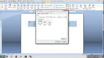MS Word2007 in Telugu Part 11(Anjimvideos)