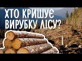 Зрубати і спалити: хто "кришує" незаконну вирубку лісу в Україні та скільки на цьому заробляють