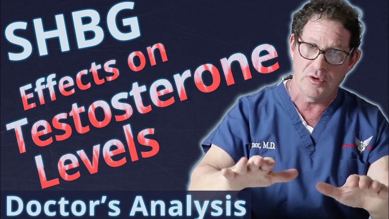 SHBG   Sex Hormone Binding Globulin Effects on Testosterone Levels   Doctors Analysis