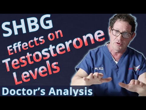 SHBG - टेस्टोस्टेरोन के स्तर पर सेक्स हार्मोन बाइंडिंग ग्लोब्युलिन प्रभाव - डॉक्टर का विश्लेषण