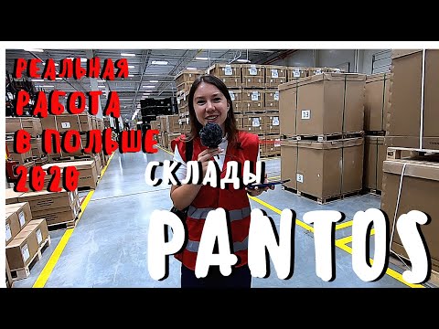 Videó: Pántos