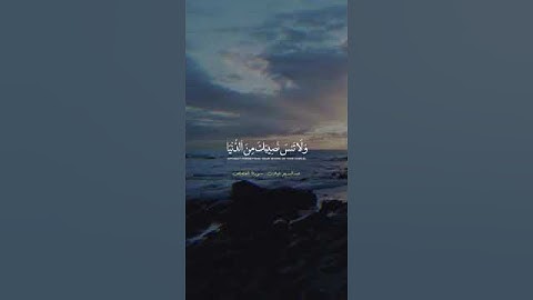 تلاوة هادئة من سورة القصص #قرآن #تلاوة_خاشعة #تلاوات