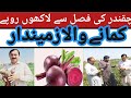 Chqandr ki fasal sy lakhon rupy kmany wal zamindar#agriculture #beetroot #ptato #farming #farming