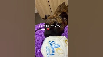 Too lazy for hashtags