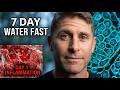 Fasting Is THE CURE No Food For 7 Days Heals Everything At The Cellular Level