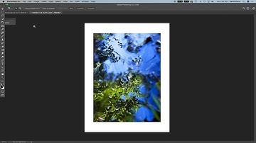 Digital Mat Photoshop