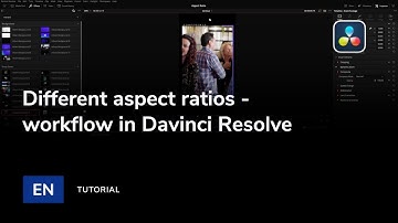 How to handle different aspect ratio projects in DaVinci Resolve — MotionVFX Support