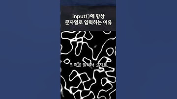 input에 항상 문자열로 입력하는 이유 #코딩