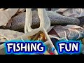 আজকের ভ্লগ সালমন মাছ ত্রোতে মাছ | Fun Time | Fishing Vlog | ITaly