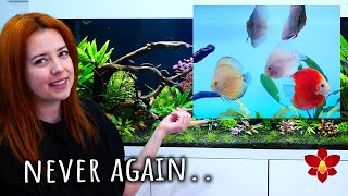 Why I gave up Discus Fish and will probably never keep them again 🤷🏻‍♀️