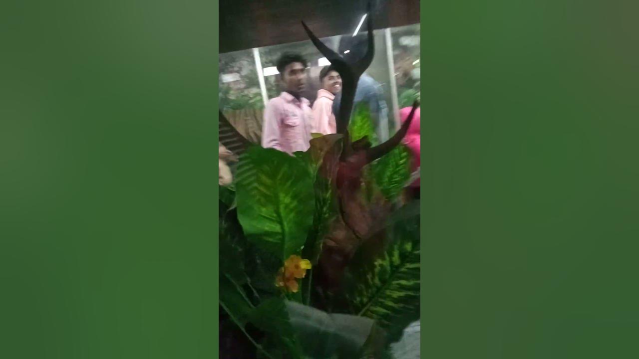 purane-samay-ka-video-hai-youtube