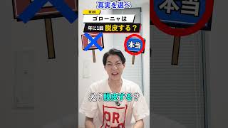 真実を見抜け‼️ 嘘or本当クイズ #ポケモン #クイズ #都市伝説 #オリスタ #shorts