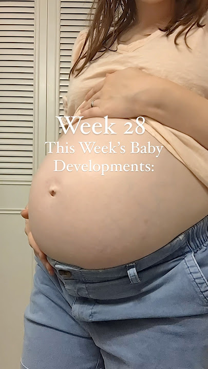 28 weeks pregnant baby development #bellyprogression
