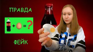 Эксперимент разоблачение! Заливаем Яйцо Кока-Колой и ждем?