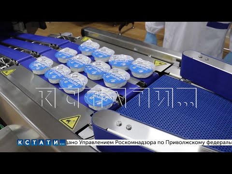 Видео: В  Нижегородской области запущено новое производство кисломолочной продукции