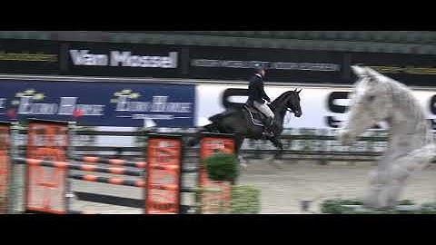 Diamond (Don Diarado x Cornet Obolensky x Quidam)