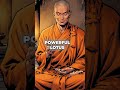 Why Lotus Flowers Hold Your Transformation Key