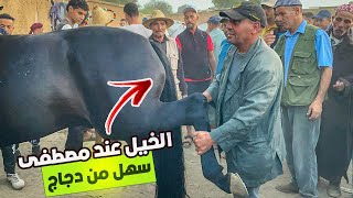 Download Lagu 🚨سوق الخميسات حماسي مع الحرايفية و دخلو خيوول فالمستوى مصطفى الخريبگي عندو عود سهل من دجاج ✅ MP3 Download Lagu 🚨سوق الخميسات حماسي مع الحرايفية و دخلو خيوول فالمستوى مصطفى الخريبگي عندو عود سهل من دجاج ✅ MP3