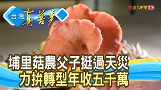 年收五千萬“菌菇王國”｜豐年農場｜【台灣真善美】2023.08.13 