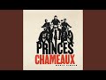 Princes Chameaux Accords