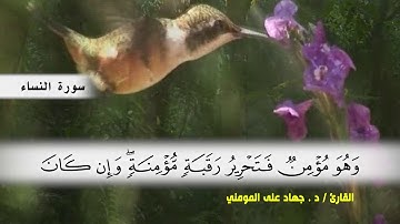 سورة النساء من ( ايه 88 ) الى (ايه 99 ) بصوت القارئ د.جهاد المومني