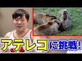 【爆笑】オラキオがアフレコやってみた