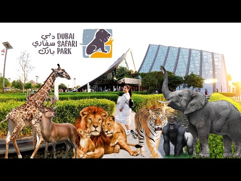Wideo: Kiedy Otworzy Się Safari Park W Regionie Moskiewskim?
