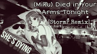 (Miku) Died in Your Arms Tonight [StormP Remix]