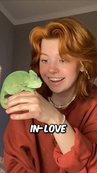 The Most Talented Chameleon Ever Existed #shorts