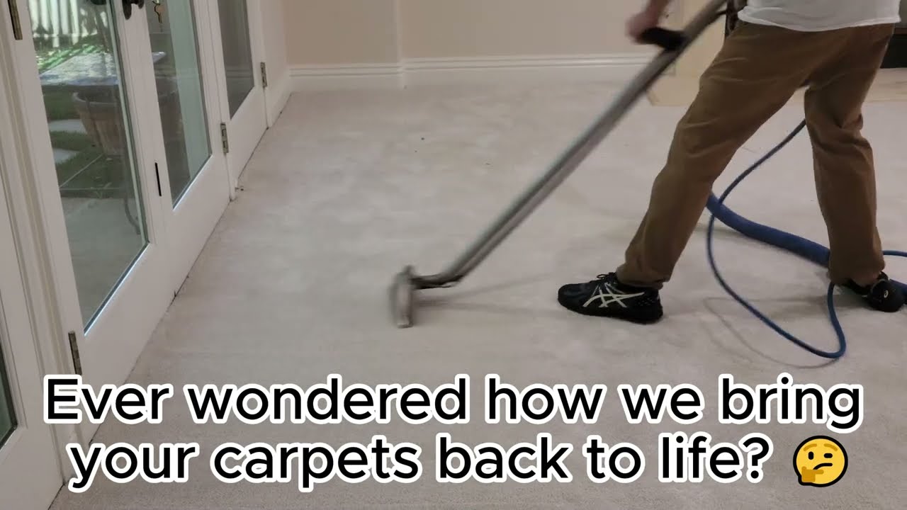 Carpet Cleaning A Process in Precision and Pressure