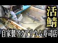 自家製アクアリウム寿司店で生きた鯖を注文してみた