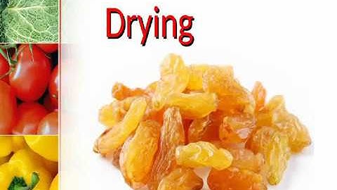 Food-Class 4-Science-NSO,NSTSE