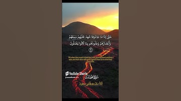 القارئ مصطفى وجيه ٠٠أسمع وريح قلبك 🎧❤️❤️ #اكسبلور