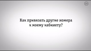 картинка: Мой Билайн: как привязать другие номера к моему кабинету?