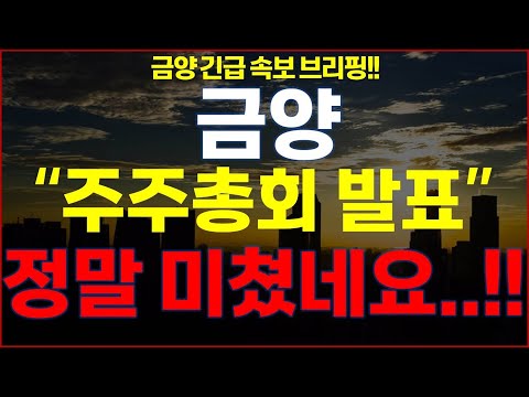 금양 "주주총회 발표" 정말 미쳤네요..!! 금양 긴급 속보 브리핑!!